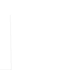 RandenTreeSingleLines_small_optimized.gcode preview