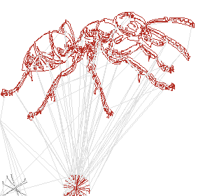 ant_c1.gcode preview