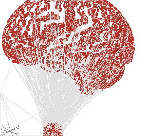 brain2_c1.gcode preview