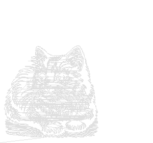 cat(1).gcode preview