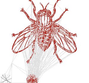fly2_c1_infill.gcode preview