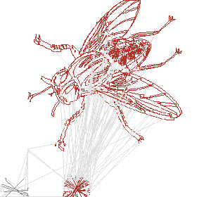 fly_c1.gcode preview