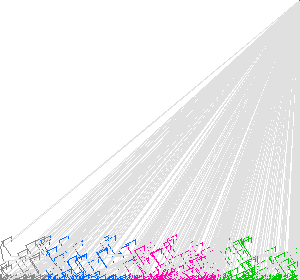 multicolor_paint(2).gcode preview