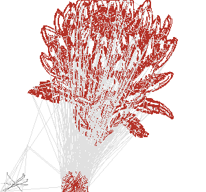 protea_c1.gcode preview